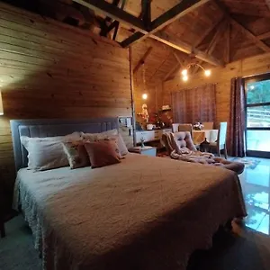 https://tiny-canjerana-cama-e-cafe.santa-catarina-brasil.com